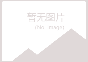 巴青县盼夏能源有限公司